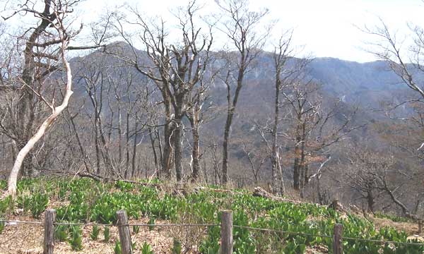 ���̕ӂ肩��̒��߁B