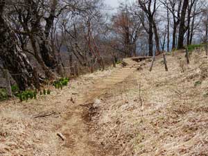 �R������̓o�R���B