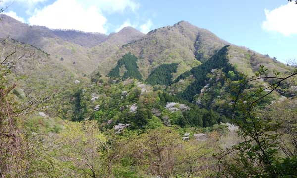 ��������̒���