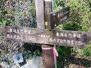 �c�c�W�V������