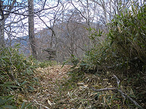 1622m�̃s�[�N�_