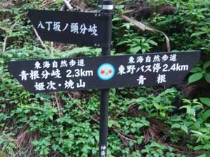 ������m������