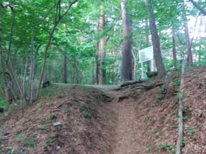 ���R�т̔���