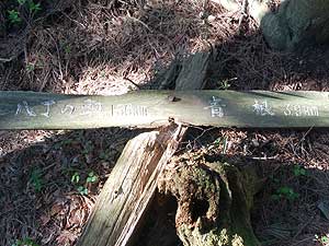 �|�ꂽ�ē���