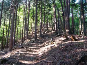 �ē�����̓o�R���B