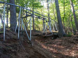 ���m���[��