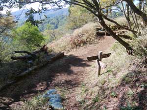 ������m��