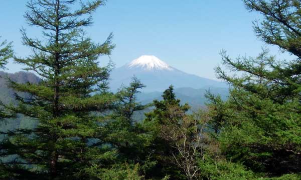 姫次からの眺め