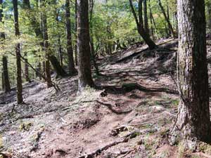 ������������̓o�R��