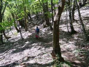 �n��������̓o�R���B