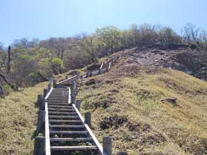 �n��������̓o�R���B