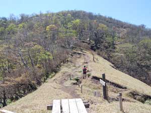 �x���`�̂��钭�߂̗ǂ��ꏊ