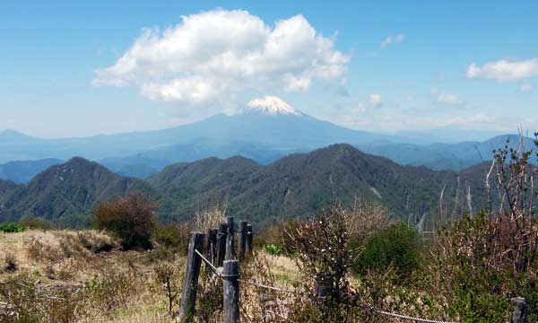 山頂からの眺め