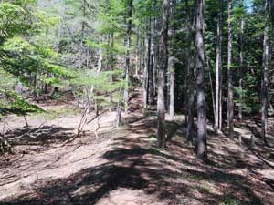 �n��������̓o�R��