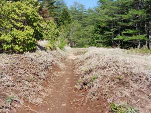 �P������̓o�R���B