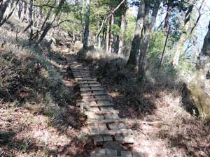 姫次からの登山道。