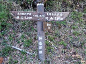 ������m��