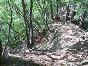 八丁坂ノ頭からの登山道。