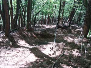 ������m������̓o�R���B