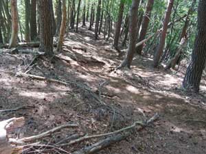 八丁坂ノ頭からの登山道。