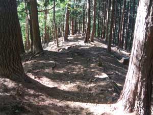 ������m������̓o�R���B