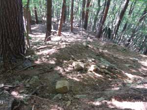 八丁坂ノ頭からの登山道。