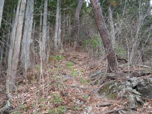 ���Ƃ̗��R�I�ȕO��