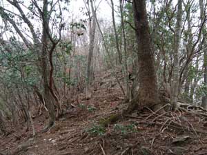 ���Ƃ̗��R�I�ȕO��