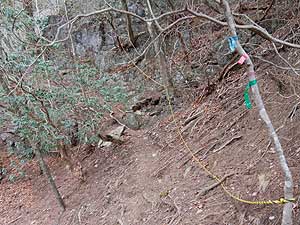 ���[�v��