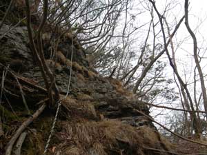 ����ɐi��