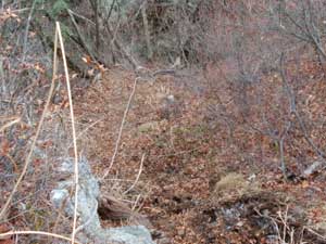 ���􂩂�̓o�R���B