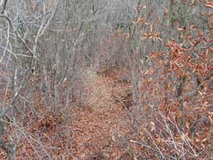 ���R�J�n�`�`