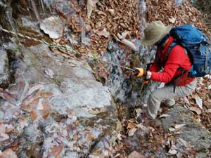 ���������[�v�������