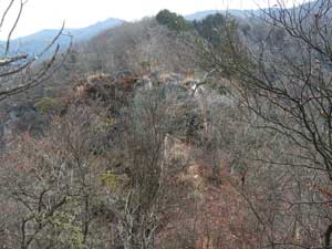 �V�R�̕X��