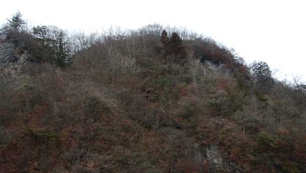 ���̃s�[�N�_����̒���