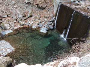 ��̐��͐���ł���