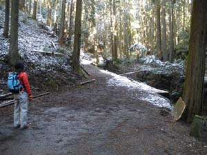 ���򂩂�̓o�R���B