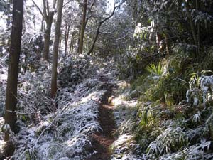 ���򂩂�̓o�R���B