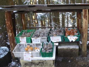 寄居の街並みも見渡せた〜