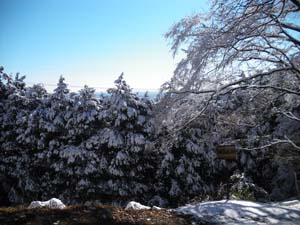 ���܈�̒���