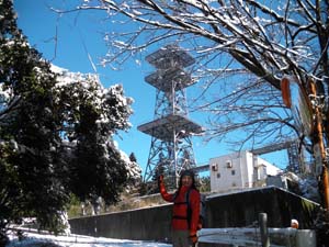 NTT���w�������p��