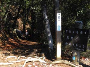 ����)���牺�R