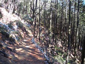 �����̍s���͂����o�R���B