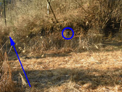 �ѓ��ƕ���