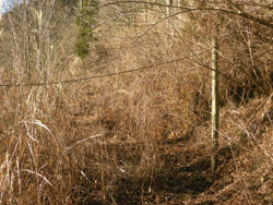 1�ڂ̖h��l�b�g