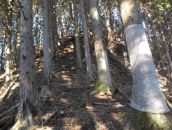 �o�R���͔����ɏo��