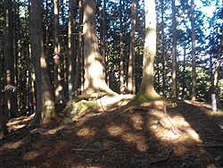 �s�[�N�̕���_