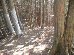 ���������������Ԃ�