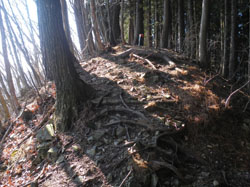 �X�ɏ��s�[�N