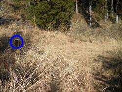 �ѓ�����